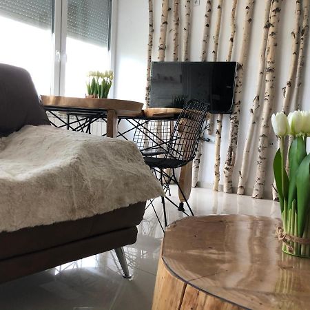 Appartamento Artistic Luxury Skopje Esterno foto